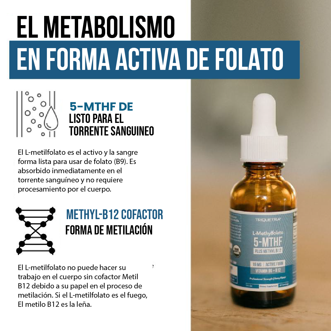 Folato de metilo| Ánimo, energía y sueño en solo 2 gotas.